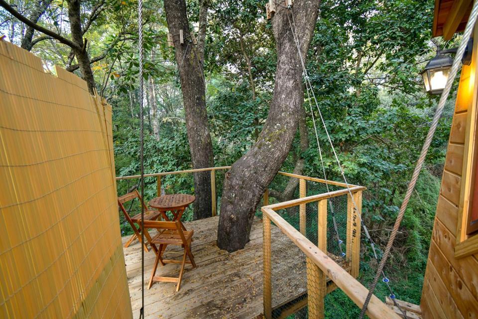 Cabanas Bosques De Loncotraro Hotel Villarrica Exterior photo