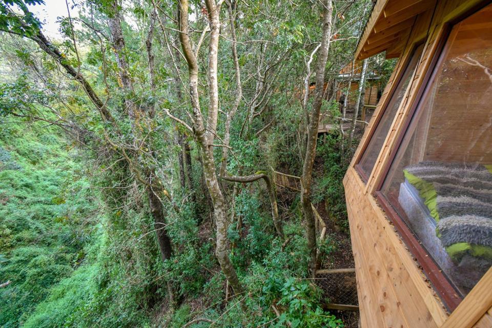 Cabanas Bosques De Loncotraro Hotel Villarrica Exterior photo