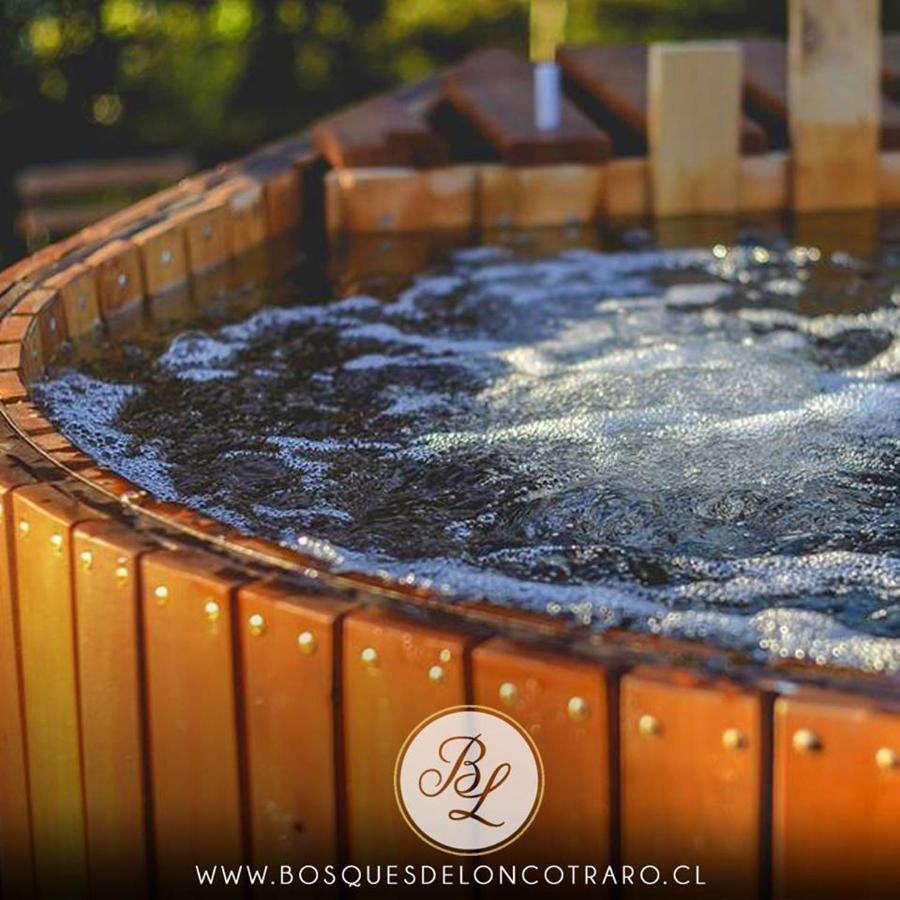 Cabanas Bosques De Loncotraro Hotel Villarrica Exterior photo